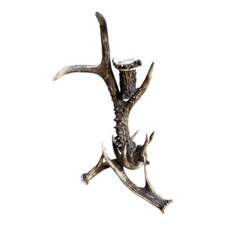 Antler Candelabra Black Forest Decor For Sale