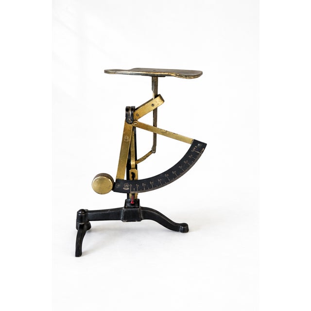 Antique Letter Scale with Brass Weights from D.R.G.M. Pendulum, Germany, 1900s, Set of 5 For Sale - Image 3 of 12