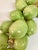 Italian Ceramic Glazed Green Limes on Straw For Sale - Image 11 of 12