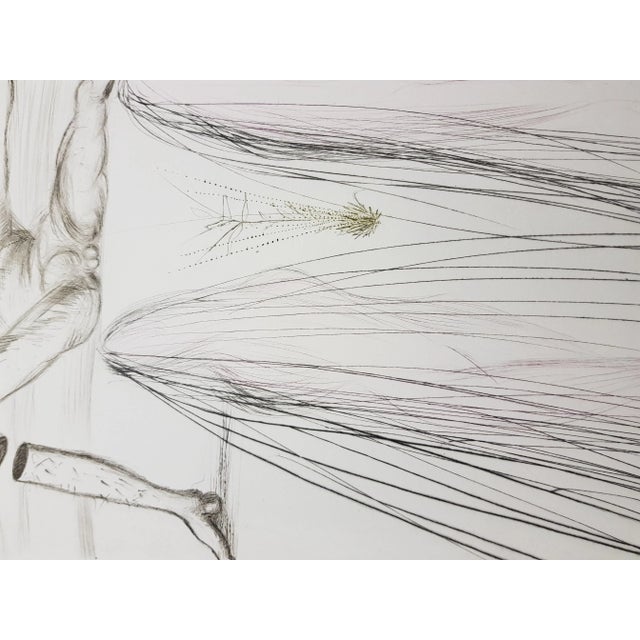 Early 21st Century Salvador Dali - The Giant Beliagog - Original Etching 1970 For Sale - Image 5 of 8