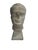 18th Century Marble Head For Sale