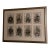 Late 18th Century 8 Engravings of the Children of George III & Queen Charlotte For Sale