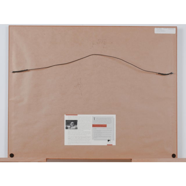 Ruby Red 1991 Thomas Mangelsen "The Perch - Carmine Bee-Eaters" Hand Signed Collectors Limited Edition 515/950 Museum Mounted Framed Color Photograph For Sale - Image 8 of 8