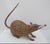 Alebrije Oaxaca Mexico Morales Folk Art Carved Wood Rat Figurine Sculpture For Sale In Portland, OR - Image 6 of 10