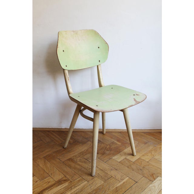 Blue Mid-Century Modern Dining Chairs from TON, Czechoslovakia, 1964, Set of 6 For Sale - Image 8 of 18