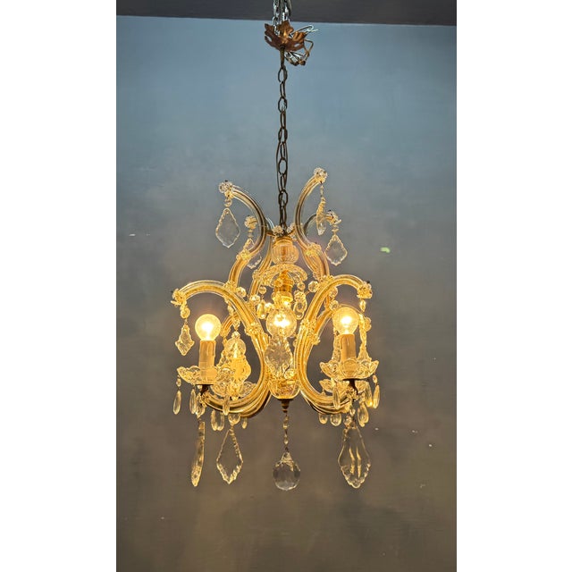 Italian Crystal and Murano Glass Chandelier, 1950s For Sale - Image 8 of 14