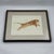 Anthropologie Wendover Pouncing Tiger 3 Wall Art Print For Sale In Tampa - Image 6 of 9