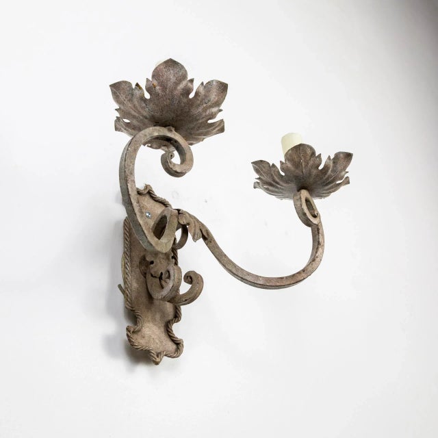 Decoratively faux painted metal sconces in a fresh, warm tone; two scroll arms and shield backplate with rope and leaf...