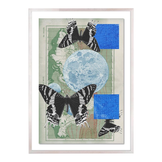 Hovering Wings by Gold Rush Art, Art Print in Whitewash Frame, Large For Sale