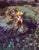 Sabina Spear Fishing by Toni Frissell Sabina spear fishing, 1947. (Photo by Toni Frissell) 16x12" inches / 40x30cm paper...