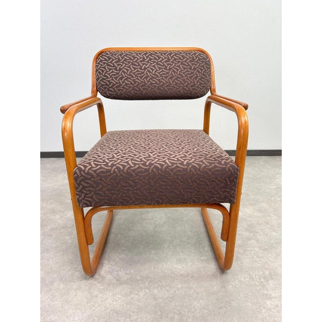 Vintage Art Deco Armchairs from Thonet, 1929, Set of 2 For Sale - Image 10 of 15