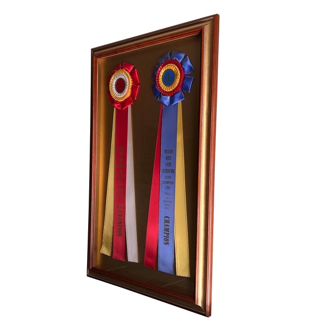 Framed Missouri Horse Show Champion Rosettes, Equestrian Wall Art, 1992 For Sale - Image 13 of 17