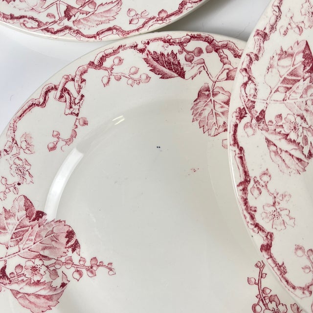 Terre De Fer Dinner Plates from KG Lunéville, Set of 6 For Sale - Image 10 of 11