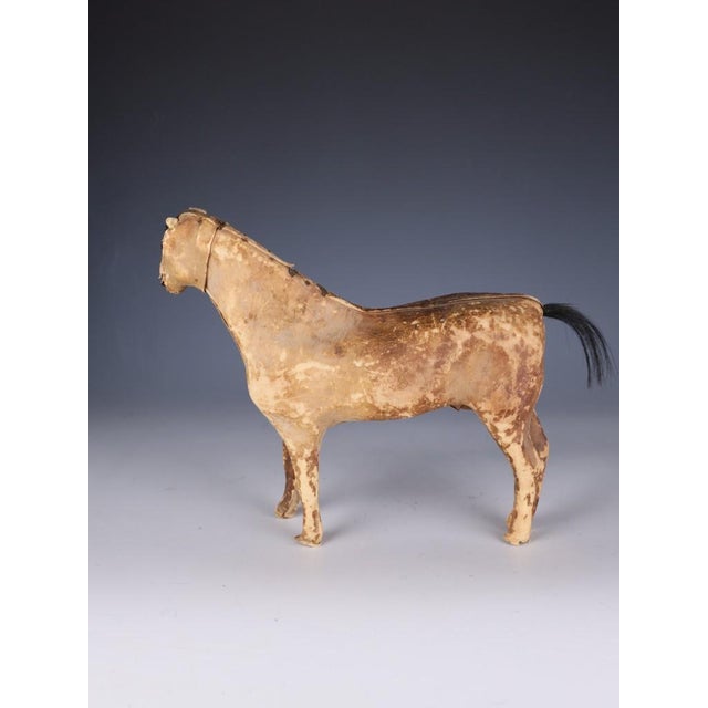 Brown Antique Horse Covered in Genuine Horse Hide with Glass Eyes, 1890 For Sale - Image 8 of 16
