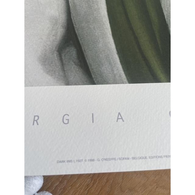 Abstract Georgia O’Keeffe (1887-1986), Dark Iris I, 1927, Copyright 1999- G.O’Keeffe/SOFAM Belgique Editions Pierre D’ Harville, Printed in Italy For Sale - Image 3 of 9