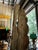 Vintage Wooden Hand Carved Sculptural Lion Plant Stand, Signed For Sale In Atlanta - Image 6 of 9