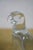 Baccarat French Crystal Clear Glass Parrot Bird Paperweight Figurine 4" For Sale - Image 10 of 14