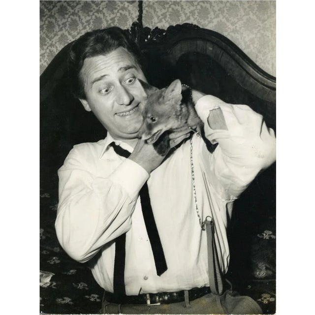 One Hundred Years of Alberto Sordi - Vintage Photo by P. Praturlon - 1950's 1950's For Sale - Image 3 of 3