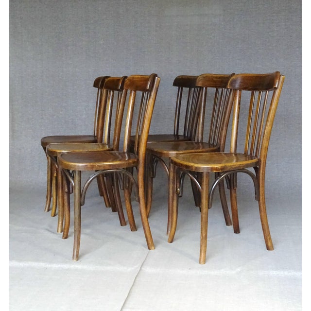 1930s Bistro Bentwood Chairs by Fischel France, 1935, Set of 6 For Sale - Image 5 of 14