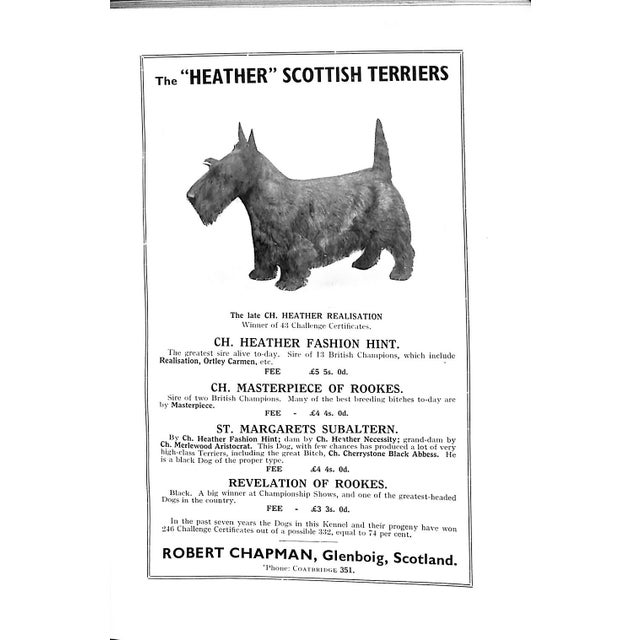 "The Scottish Terrier: Its Breeding and Management" 1938 Gabriel, Dorothy For Sale - Image 4 of 7