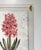 2020s Pink Hyacinth - Hand Textured Pink Flower Art For Sale - Image 5 of 6