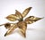 Vintage Brass Flower Wall Lamp by Willy Daro for Massive, Belgium, 1970s For Sale - Image 9 of 18