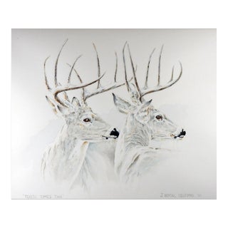 1989 Texas White Tail Deer Watercolor Painting For Sale