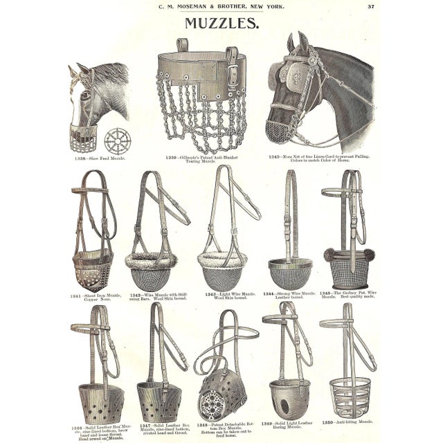 White "Mosemans': Illustrated Guide for Purchasers of Horse Furnishing Goods" 1895 Moseman, c.m. For Sale - Image 8 of 18