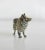 Miniature Pomeranian Loulou Figure in Bronze, Vienna, Early 20th Century For Sale - Image 4 of 5