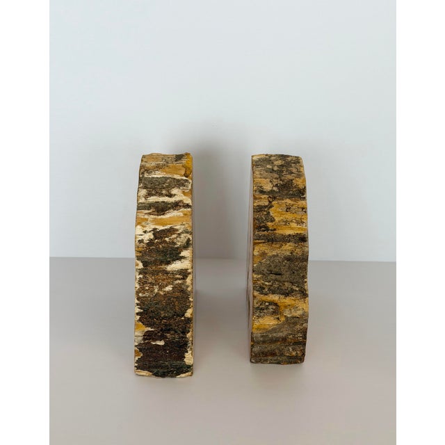 Wood Vintage Sculptural Petrified Wood Bookends - A Pair For Sale - Image 7 of 11
