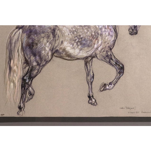 Horse Pastel by Leslie Charlotte Benenson of Stallion 'Lebrijano' , an Andalusian Horse, Dated 20th August 1995 For Sale In Philadelphia - Image 6 of 7
