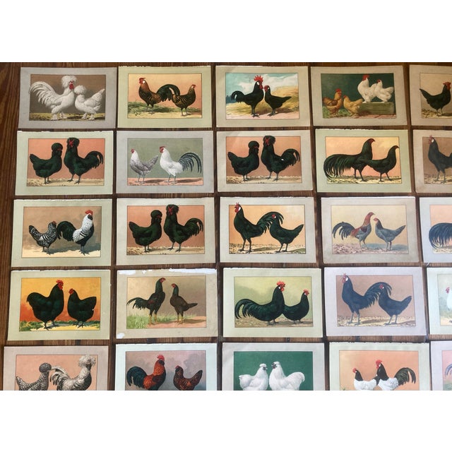 This unique collection of 24 antique chromolithographs, dated 1897-1899, feature a detailed illustration of the Ramelsloh...