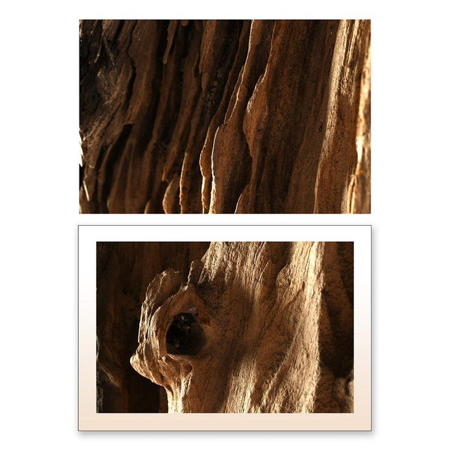 Rough Teak Root from Indonesia For Sale - Image 3 of 6