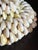 Vintage South Pacific Cowrie Shell Vase For Sale - Image 9 of 12