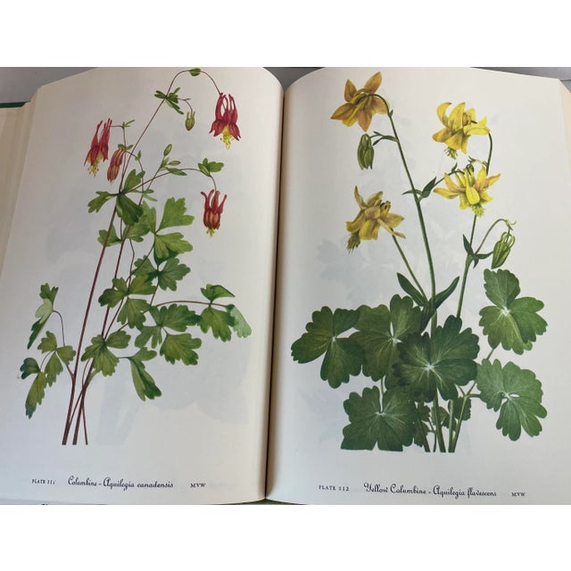 1978 “Wild Flowers of America” Illustrated Book For Sale In Dallas - Image 6 of 11