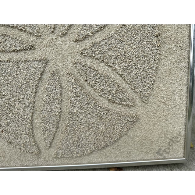 Harris Strong Vintage Coastal Sand Dollar Wall Art by Harris Strong For Sale - Image 4 of 4