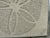 Harris Strong Vintage Coastal Sand Dollar Wall Art by Harris Strong For Sale - Image 4 of 4