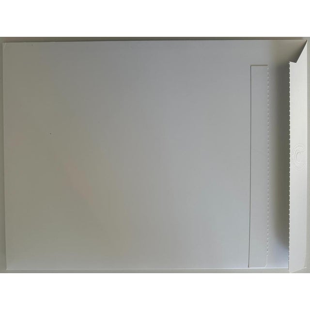 Pierre Soulages and Philippe Geluck, Power Outage at the Soulages Museum, Silkscreen Print For Sale - Image 4 of 5