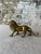 Roar-worthy charm for your shelf, desk, or curated vignette. This solid brass lion figurine exudes vintage strength and...