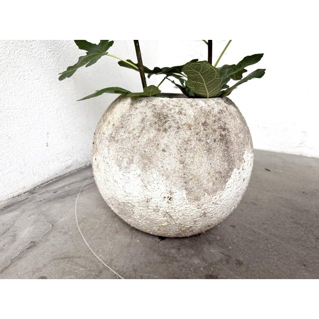 1970s Spherical Planter Made of Fiber Cement, DLG Willy Guhl, 1960s For Sale - Image 5 of 9
