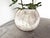 1970s Spherical Planter Made of Fiber Cement, DLG Willy Guhl, 1960s For Sale - Image 5 of 9