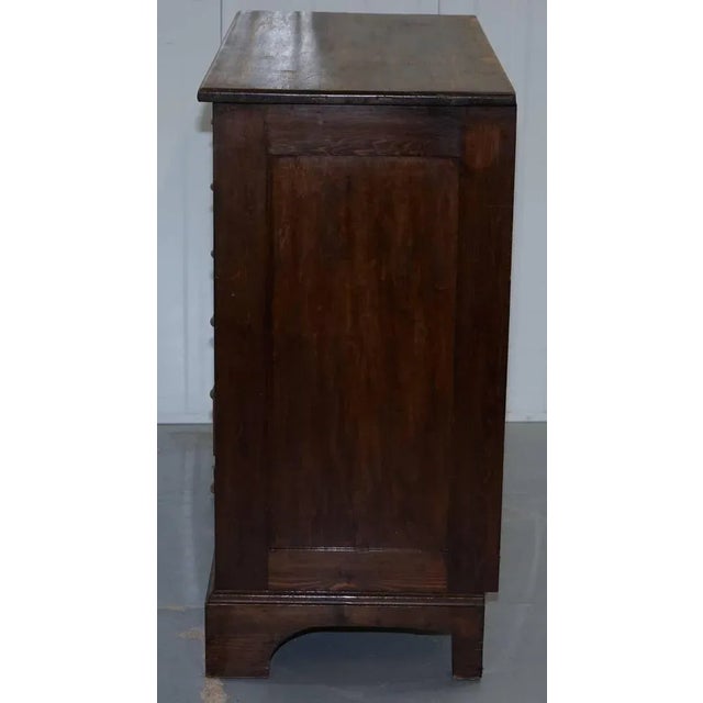 Animal Skin Very Large Victorian Photographers Chest Bank of Drawers For Sale - Image 7 of 13