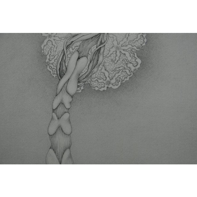 Contemporary Gochka Charewicz, Eclosion, Lithograph For Sale - Image 3 of 7