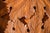 Vintage Italian Hand-Carved Leaf Tray For Sale - Image 4 of 4