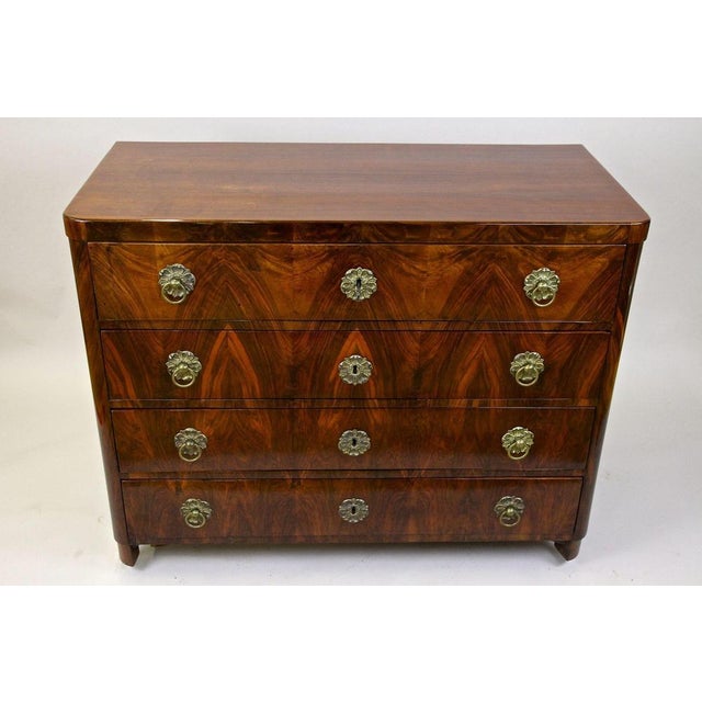 19th Century Biedermeier Chest of Drawers, Austria, 1830s For Sale - Image 3 of 18