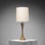 1970s Nickel-Plated Brass Table Lamp by Grillo & Tonello for High Society, Italy, 1972 For Sale - Image 5 of 14