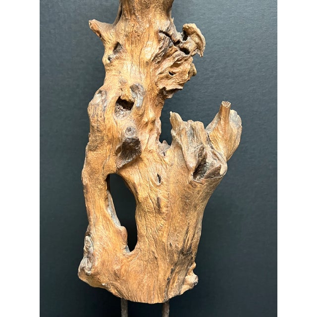 Vintage Natural Abstract Driftwood Art Sculpture on Wooden Base For Sale - Image 12 of 12