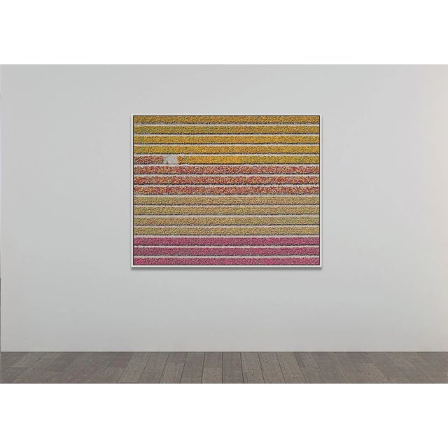 Edition Aerial Views Bernhard Lang Image: AV_Tulip_Fileds_016 Size B: 47,2 x 37,8 inches, 120 x 96 cm Captured in 2016 in...