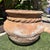 Terra Cotta Vintage Mediterranean Terracotta Garden Planter With Applied Rope Detail & Aged Patina For Sale - Image 8 of 10