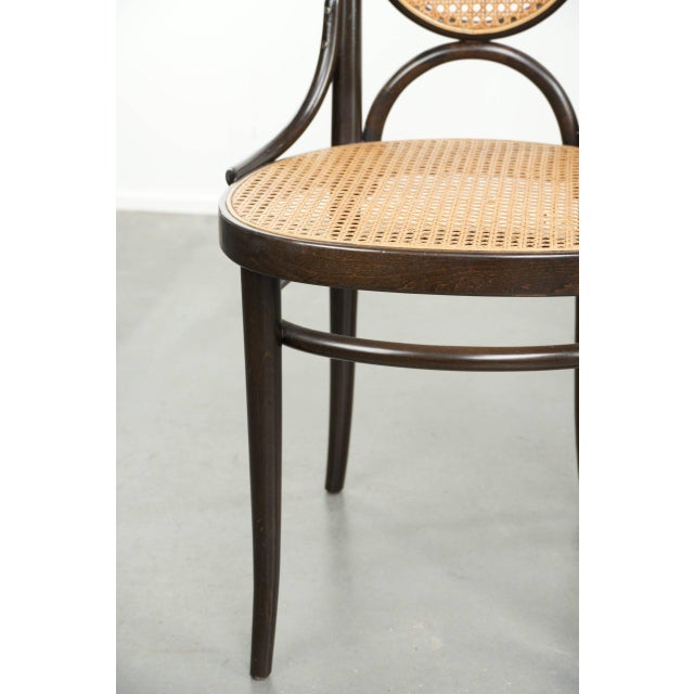 Vintage Long John Webbing Dining Chairs from Thonet, Set of 4 For Sale - Image 10 of 14